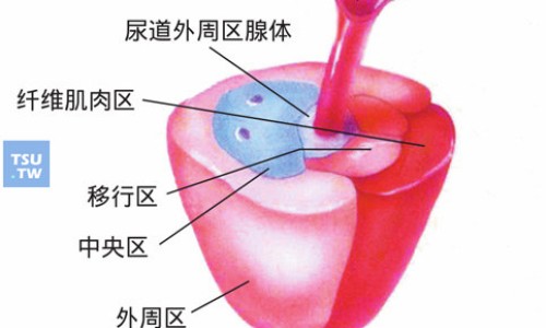 溃疡散胶囊 购药网 - 为你提供溃疡散胶囊能长期吃吗、溃疡散胶囊